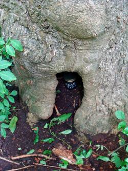 Kirsty Hall Jar 365 in situ