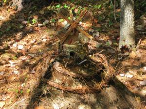 Faerie House 3