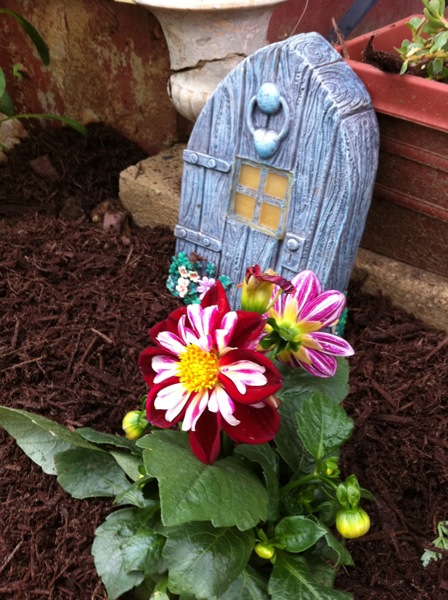 fairy door with dahlias