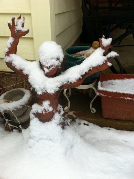 Dryad - snow cloaked