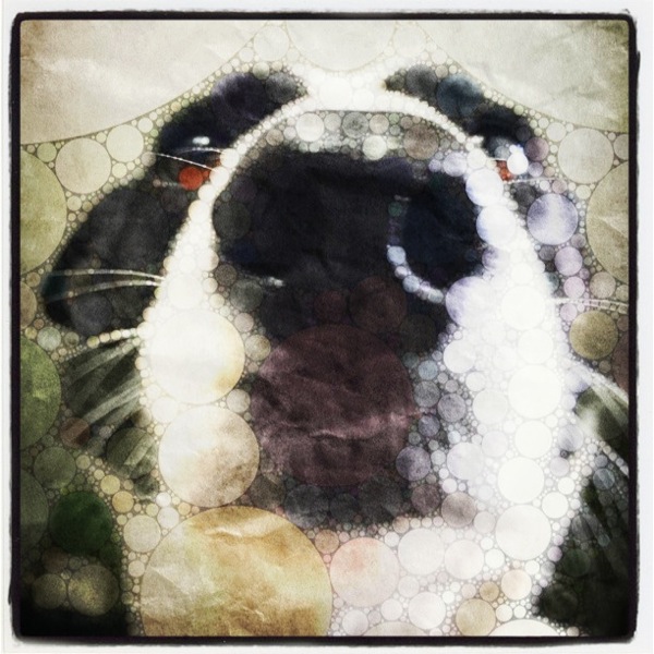 Looking up Looking up