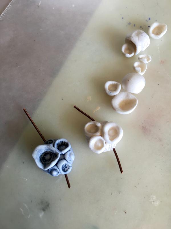 additional barnacles