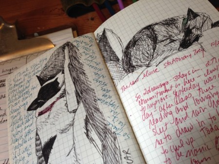 canine sketches the canines