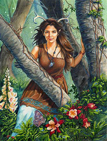 Jane's Within the Woods