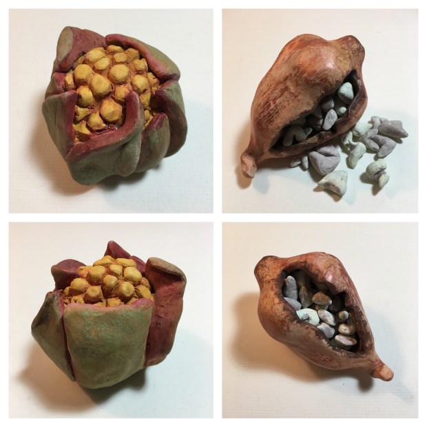 painted pods